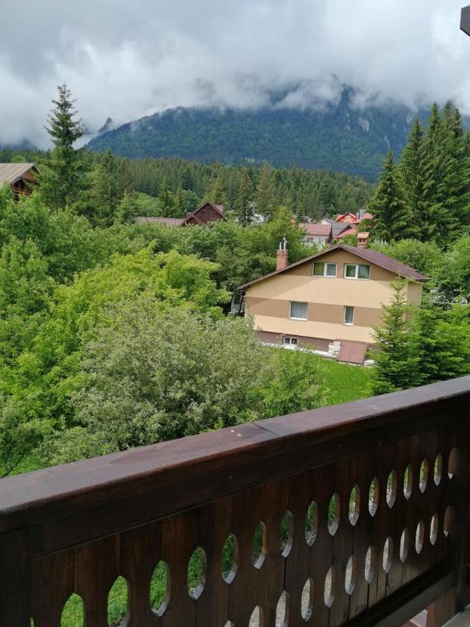 Belcara Apartment Buşteni Exterior foto